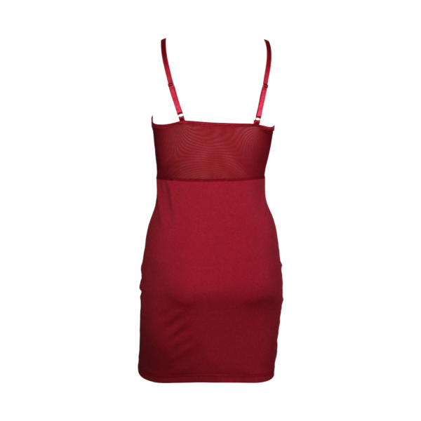 The image shows a fitted mini dress with a structured bodice and thin shoulder straps. The dress features a sheer panel design on the bodice, providing a delicate and sophisticated look, while the skirt has a sleek, form- fitting style that accentuates the silhouette.