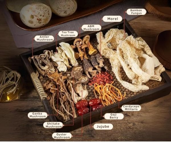 Mushroom Herbal Soup Mix with Cordyceps & Lion's Mane - Image 4